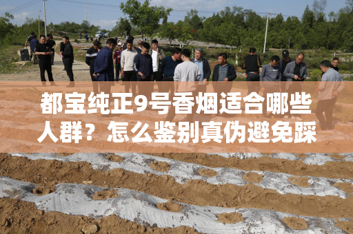 都宝纯正9号香烟适合哪些人群？怎么鉴别真伪避免踩坑？